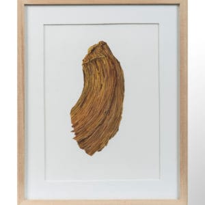 Mancha ocre (serie Manchas)