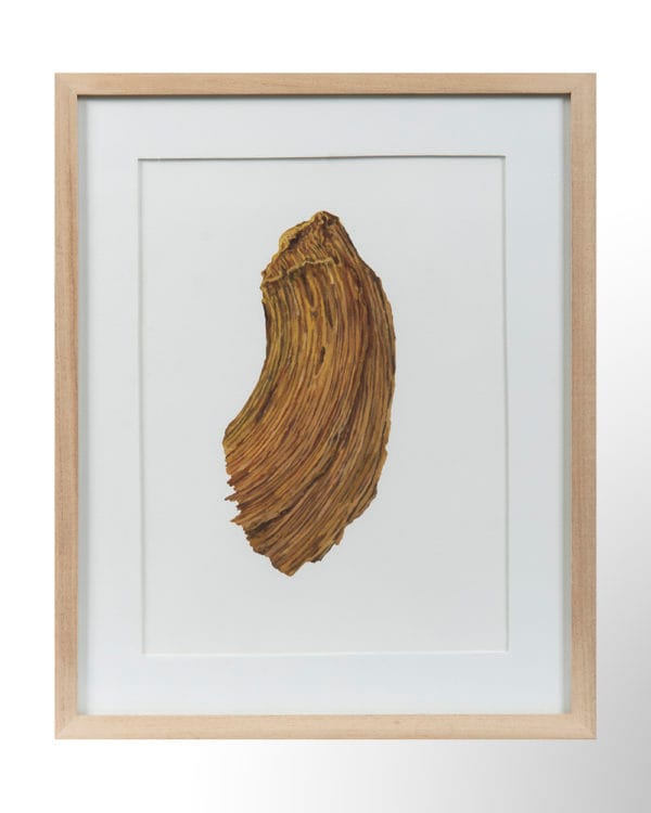 Mancha ocre (serie Manchas)