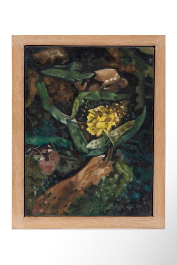s/t (Serie Compost)