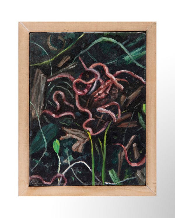 s/t (Serie Compost)