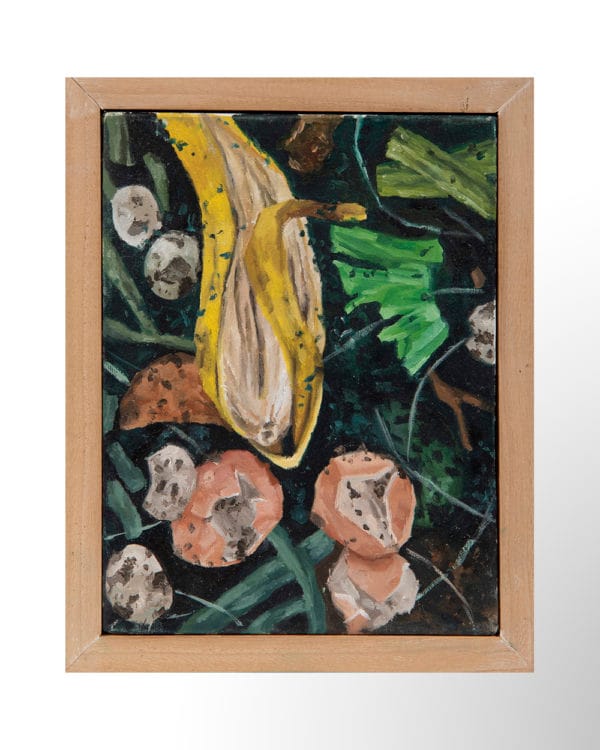 s/t (Serie Compost)