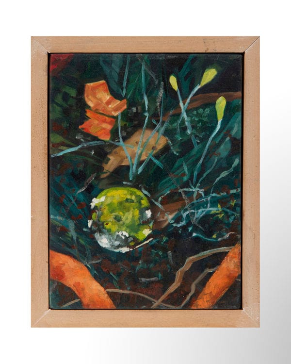 s/t (Serie Compost)