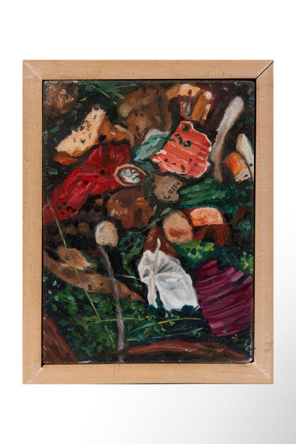 s/t (Serie Compost)