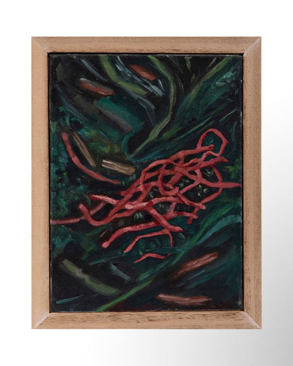 s/t (Serie Compost)
