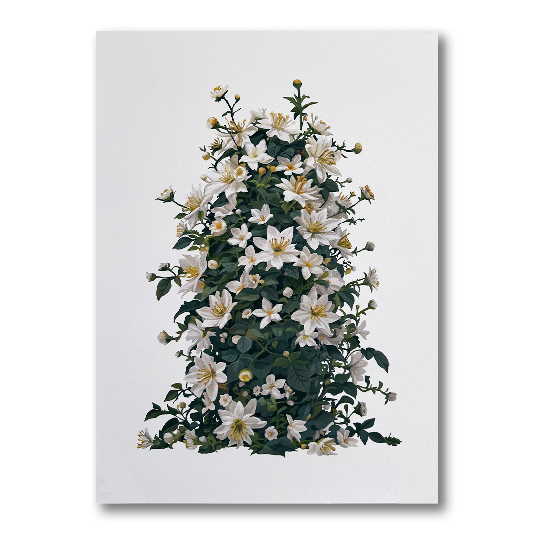 Nunca Dejes de Buscarme